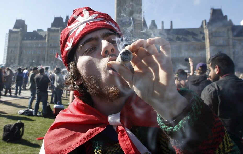 South Africa Top Court Legalises Use of Marijuana